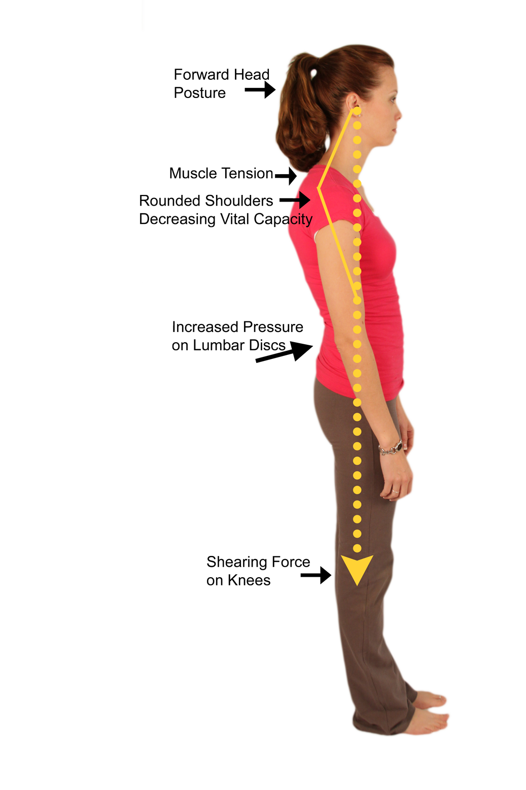 Correct Posture and What it Means to Your Nervous System