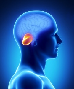 Endonasal Cranial Adjusting and Cerebral Palsy